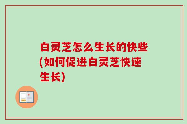白灵芝怎么生长的快些(如何促进白灵芝快速生长)
