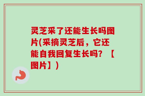 灵芝采了还能生长吗图片(采摘灵芝后，它还能自我回复生长吗？【图片】)