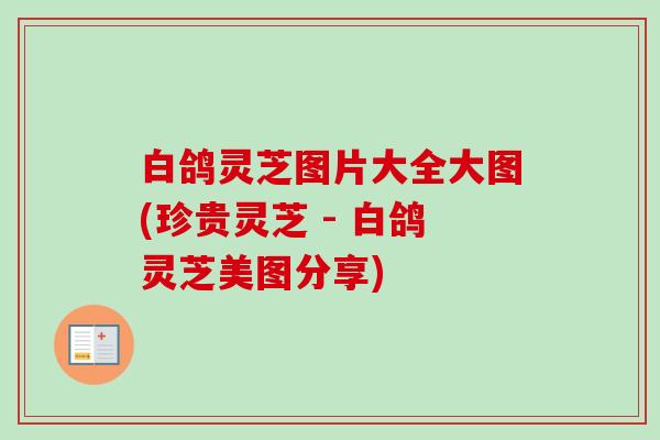 白鸽灵芝图片大全大图(珍贵灵芝 - 白鸽灵芝美图分享)