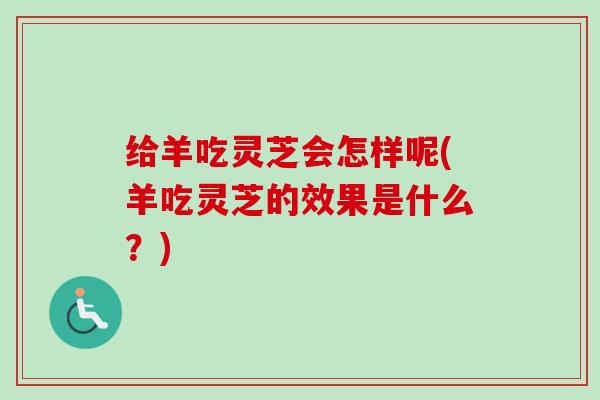 给羊吃灵芝会怎样呢(羊吃灵芝的效果是什么？)