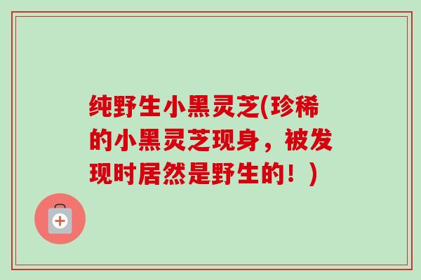 纯野生小黑灵芝(珍稀的小黑灵芝现身，被发现时居然是野生的！)
