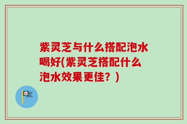 紫灵芝与什么搭配泡水喝好(紫灵芝搭配什么泡水效果更佳？)
