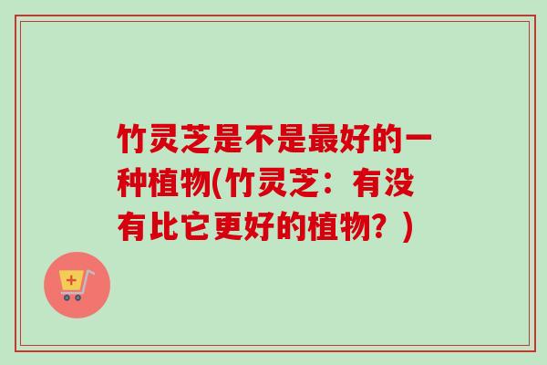 竹灵芝是不是好的一种植物(竹灵芝：有没有比它更好的植物？)