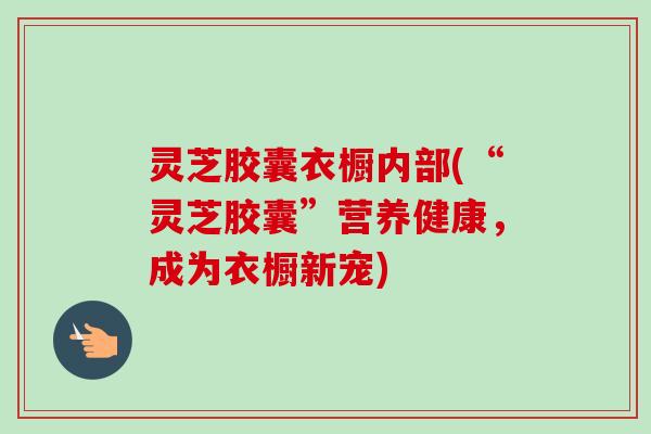灵芝胶囊衣橱内部(“灵芝胶囊”营养健康，成为衣橱新宠)