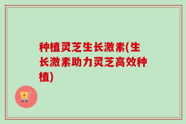 种植灵芝生长激素(生长激素助力灵芝高效种植)