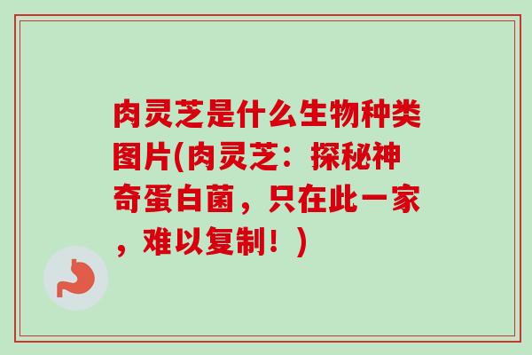 肉灵芝是什么生物种类图片(肉灵芝：探秘神奇蛋白菌，只在此一家，难以复制！)