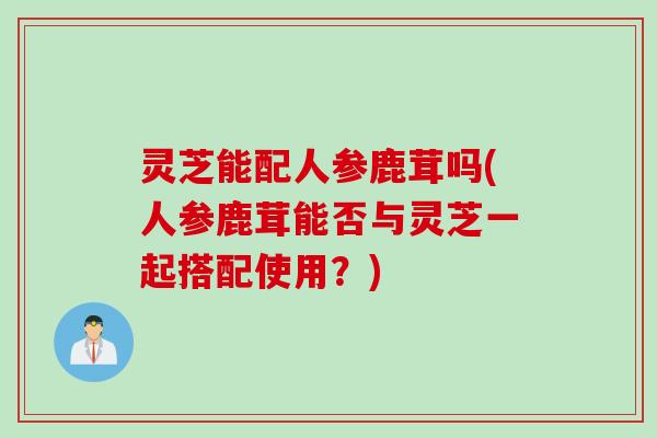 灵芝能配人参鹿茸吗(人参鹿茸能否与灵芝一起搭配使用？)
