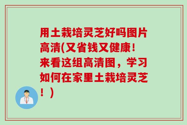用土栽培灵芝好吗图片高清(又省钱又健康！来看这组高清图，学习如何在家里土栽培灵芝！)