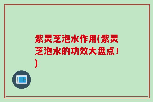 紫灵芝泡水作用(紫灵芝泡水的功效大盘点！)