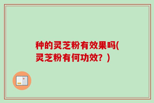 种的灵芝粉有效果吗(灵芝粉有何功效？)