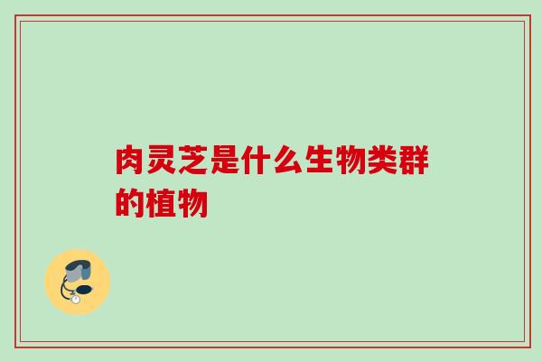 肉灵芝是什么生物类群的植物