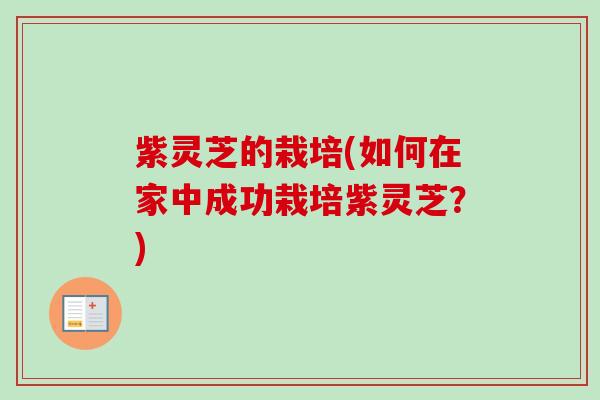紫灵芝的栽培(如何在家中成功栽培紫灵芝？)