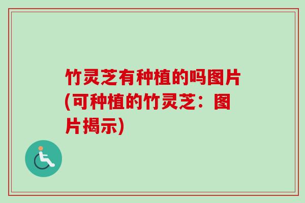 竹灵芝有种植的吗图片(可种植的竹灵芝:图片揭示) 竹灵芝有种植的吗图片(可种植的竹灵芝:图片揭示)