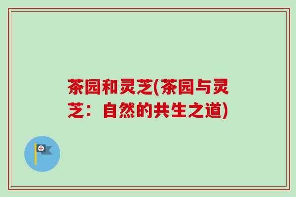 茶园和灵芝(茶园与灵芝：自然的共生之道)