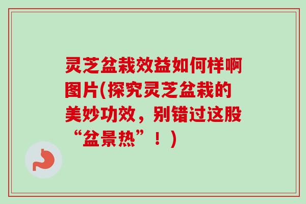 灵芝盆栽效益如何样啊图片(探究灵芝盆栽的美妙功效,别错过这股“盆景热”!) 灵芝盆栽效益如何样啊图片(探究灵芝盆栽的美妙功效,别错过这股“盆景热”!)