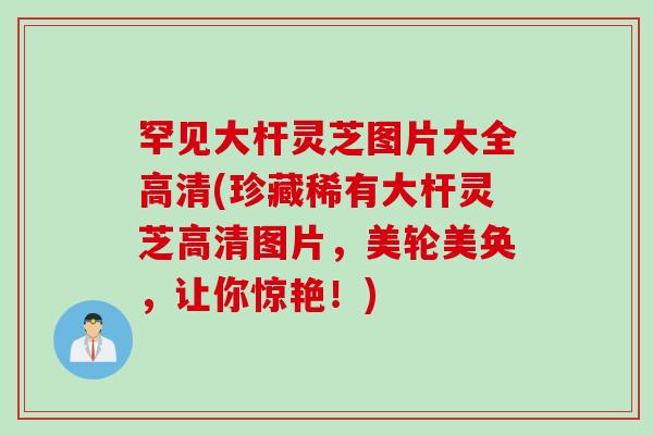 罕见大杆灵芝图片大全高清(珍藏稀有大杆灵芝高清图片,美轮美奂,让你惊艳!) 罕见大杆灵芝图片大全高清(珍藏稀有大杆灵芝高清图片,美轮美奂,让你惊艳!)