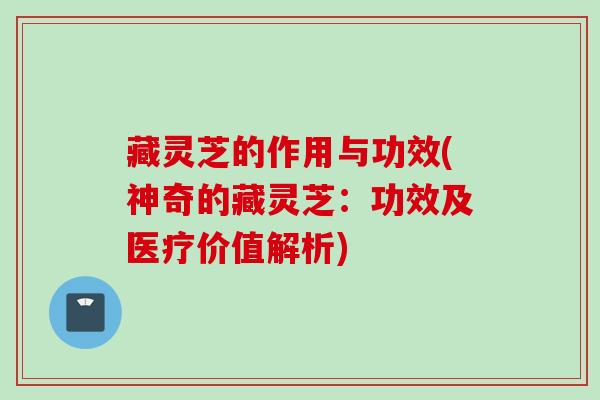 藏灵芝的作用与功效(神奇的藏灵芝:功效及医疗价值解析) 藏灵芝的作用与功效(神奇的藏灵芝:功效及医疗价值解析)