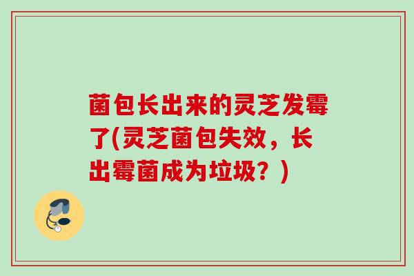 菌包长出来的灵芝发霉了(灵芝菌包失效,长出霉菌成为垃圾?) 菌包长出来的灵芝发霉了(灵芝菌包失效,长出霉菌成为垃圾?)