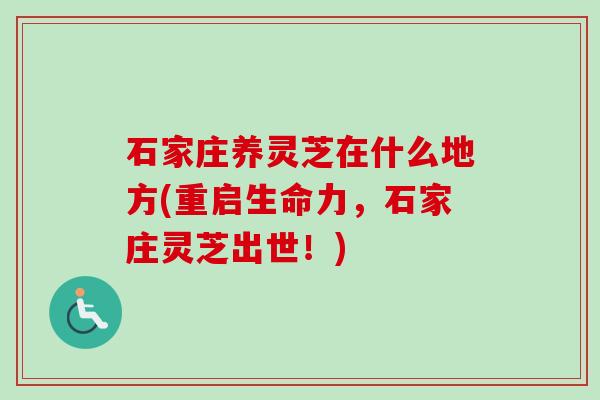 石家庄养灵芝在什么地方(重启生命力，石家庄灵芝出世！)