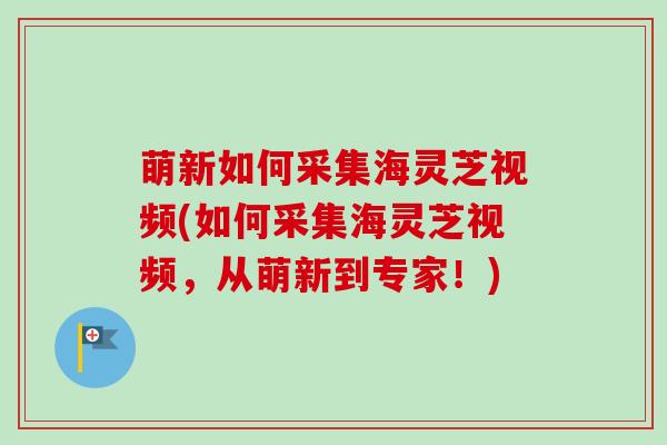 萌新如何采集海灵芝视频(如何采集海灵芝视频,从萌新到专家!) 萌新如何采集海灵芝视频(如何采集海灵芝视频,从萌新到专家!)
