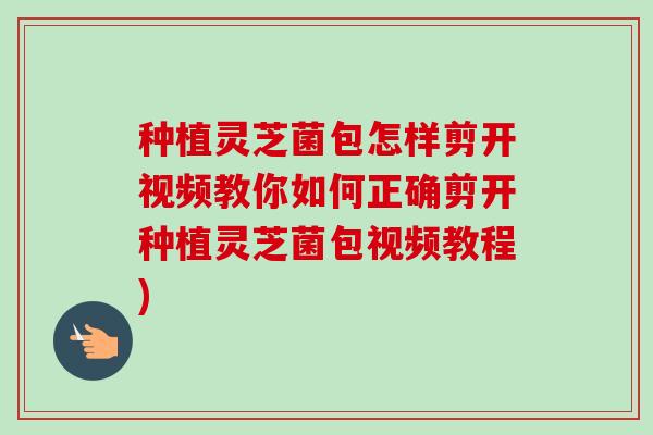 种植灵芝菌包怎样剪开视频教你如何正确剪开种植灵芝菌包视频教程)