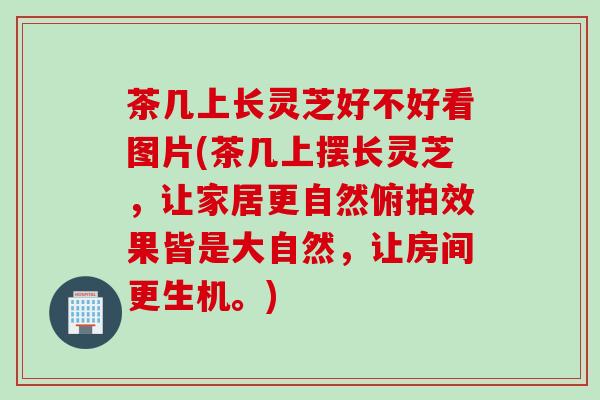 茶几上长灵芝好不好看图片(茶几上摆长灵芝，让家居更自然俯拍效果皆是大自然，让房间更生机。)