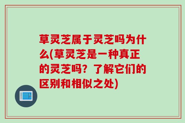 草灵芝属于灵芝吗为什么(草灵芝是一种真正的灵芝吗？了解它们的区别和相似之处)
