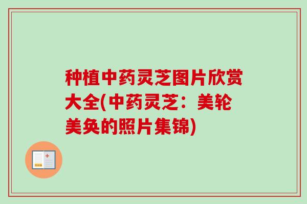 种植中药灵芝图片欣赏大全(中药灵芝：美轮美奂的照片集锦)