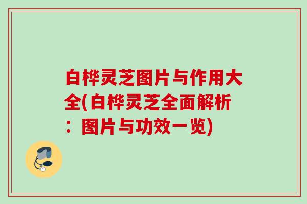 白桦灵芝图片与作用大全(白桦灵芝全面解析：图片与功效一览)