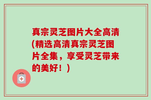 真宗灵芝图片大全高清(精选高清真宗灵芝图片全集，享受灵芝带来的美好！)