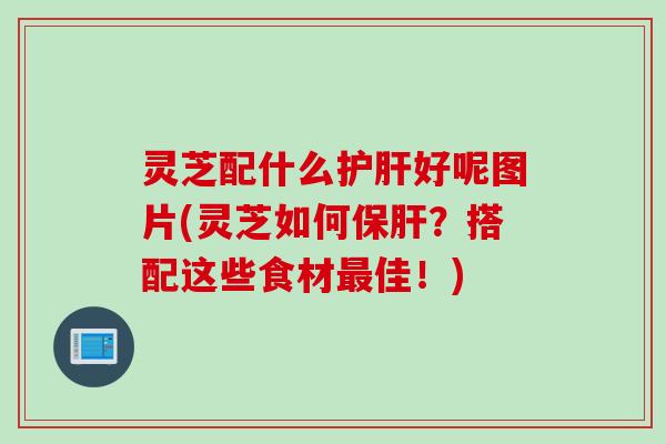 灵芝配什么护肝好呢图片(灵芝如何保肝？搭配这些食材最佳！)