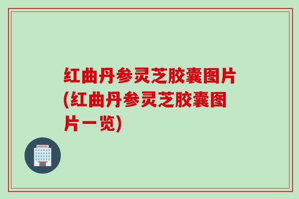 红曲丹参灵芝胶囊图片(红曲丹参灵芝胶囊图片一览)
