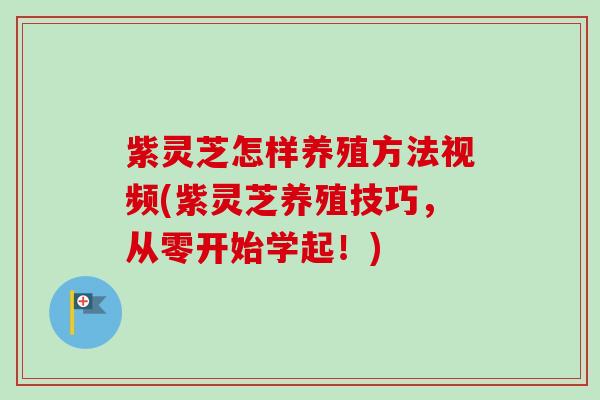 紫灵芝怎样养殖方法视频(紫灵芝养殖技巧，从零开始学起！)