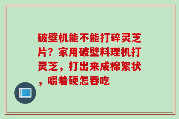 破壁机能不能打碎灵芝片？家用破壁料理机打灵芝，打出来成棉絮状，嚼着硬怎吞吃