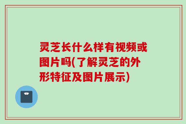 灵芝长什么样有视频或图片吗(了解灵芝的外形特征及图片展示)