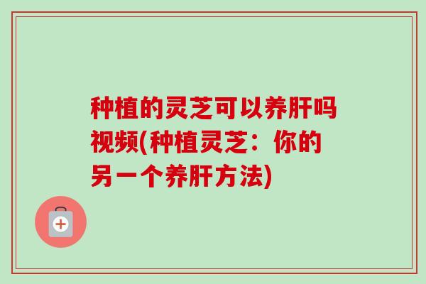 种植的灵芝可以养肝吗视频(种植灵芝：你的另一个养肝方法)