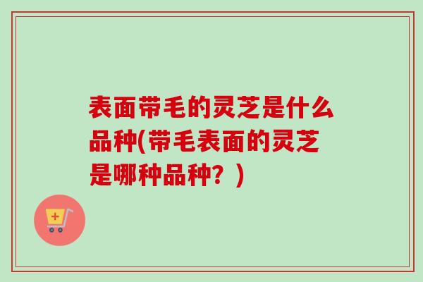 表面带毛的灵芝是什么品种(带毛表面的灵芝是哪种品种？)