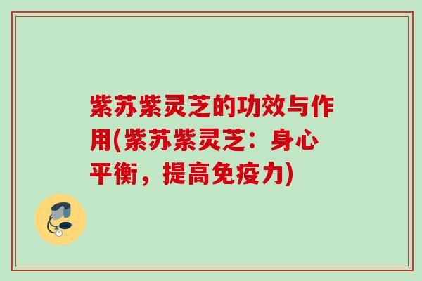 紫苏紫灵芝的功效与作用(紫苏紫灵芝：身心平衡，提高免疫力)