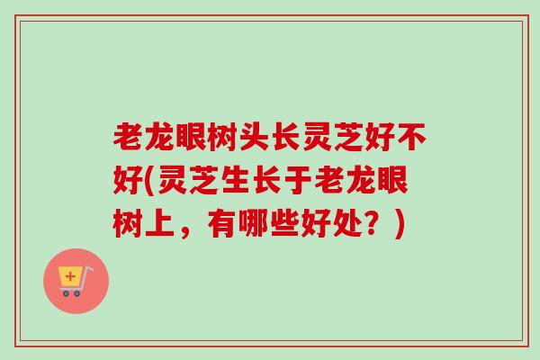 老龙眼树头长灵芝好不好(灵芝生长于老龙眼树上,有哪些好处?) 老龙眼树头长灵芝好不好(灵芝生长于老龙眼树上,有哪些好处?)