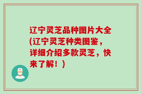 辽宁灵芝品种图片大全(辽宁灵芝种类图鉴,详细介绍多款灵芝,快来了解!) 辽宁灵芝品种图片大全(辽宁灵芝种类图鉴,详细介绍多款灵芝,快来了解!)