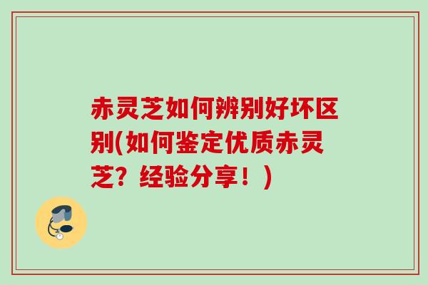 赤灵芝如何辨别好坏区别(如何鉴定优质赤灵芝?经验分享!) 赤灵芝如何辨别好坏区别(如何鉴定优质赤灵芝?经验分享!)