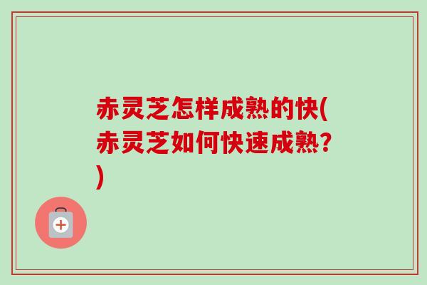 赤灵芝怎样成熟的快(赤灵芝如何快速成熟?) 赤灵芝怎样成熟的快(赤灵芝如何快速成熟?)
