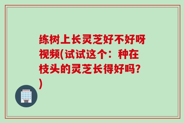 练树上长灵芝好不好呀视频(试试这个:种在枝头的灵芝长得好吗?) 练树上长灵芝好不好呀视频(试试这个:种在枝头的灵芝长得好吗?)