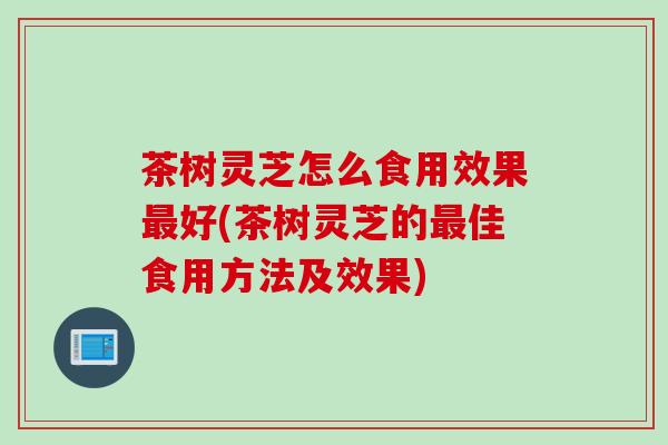 茶树灵芝怎么食用效果最好(茶树灵芝的最佳食用方法及效果)