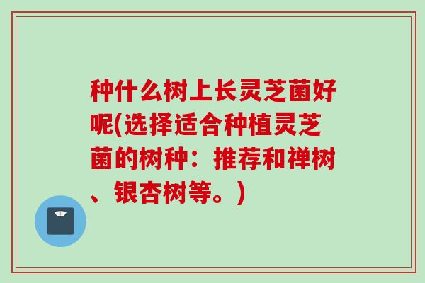 种什么树上长灵芝菌好呢(选择适合种植灵芝菌的树种:推荐和禅树、银杏树等。) 种什么树上长灵芝菌好呢(选择适合种植灵芝菌的树种:推荐和禅树、银杏树等。)