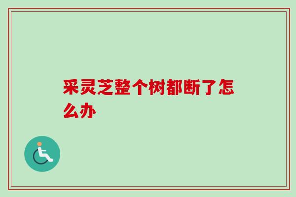 采灵芝整个树都断了怎么办