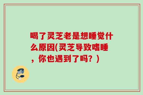 喝了灵芝老是想睡觉什么原因(灵芝导致嗜睡，你也遇到了吗？)