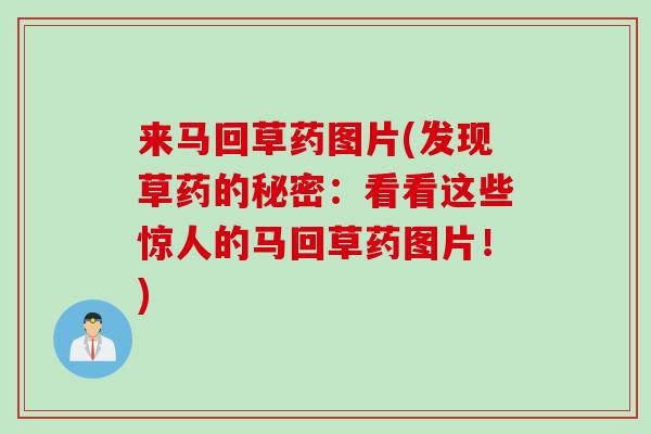 来马回草药图片(发现草药的秘密：看看这些惊人的马回草药图片！)