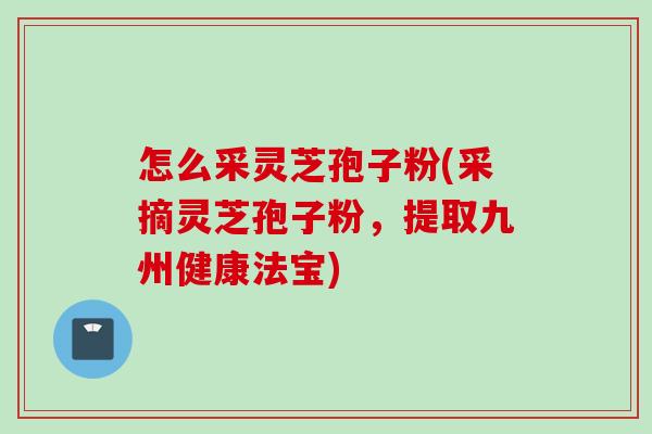 怎么采灵芝孢子粉(采摘灵芝孢子粉,提取九州健康法宝) 怎么采灵芝孢子粉(采摘灵芝孢子粉,提取九州健康法宝)