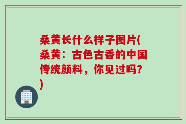 桑黄长什么样子图片(桑黄：古色古香的中国传统颜料，你见过吗？)